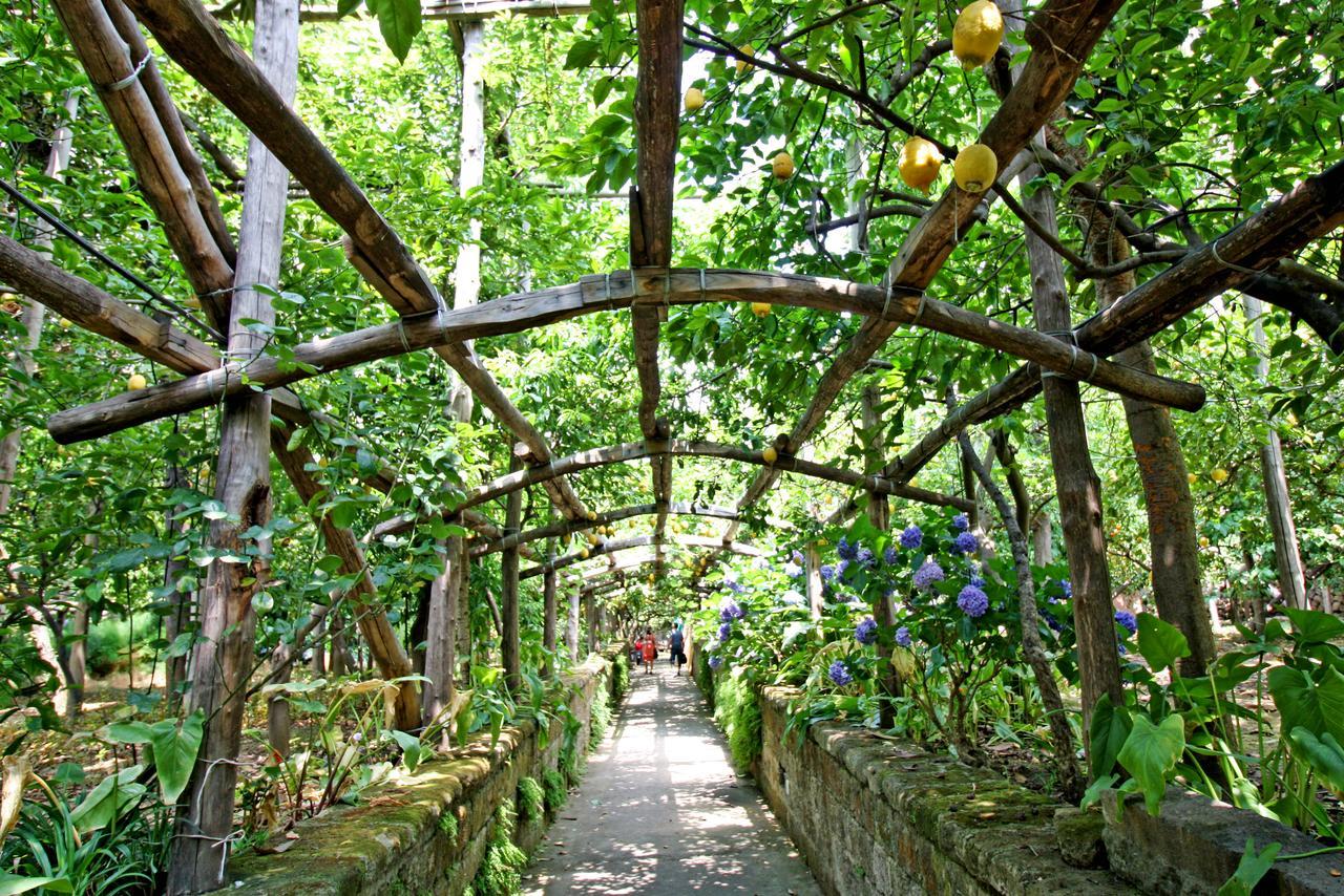 I Giardini Di Cataldo Sorrento Vila Exterior foto