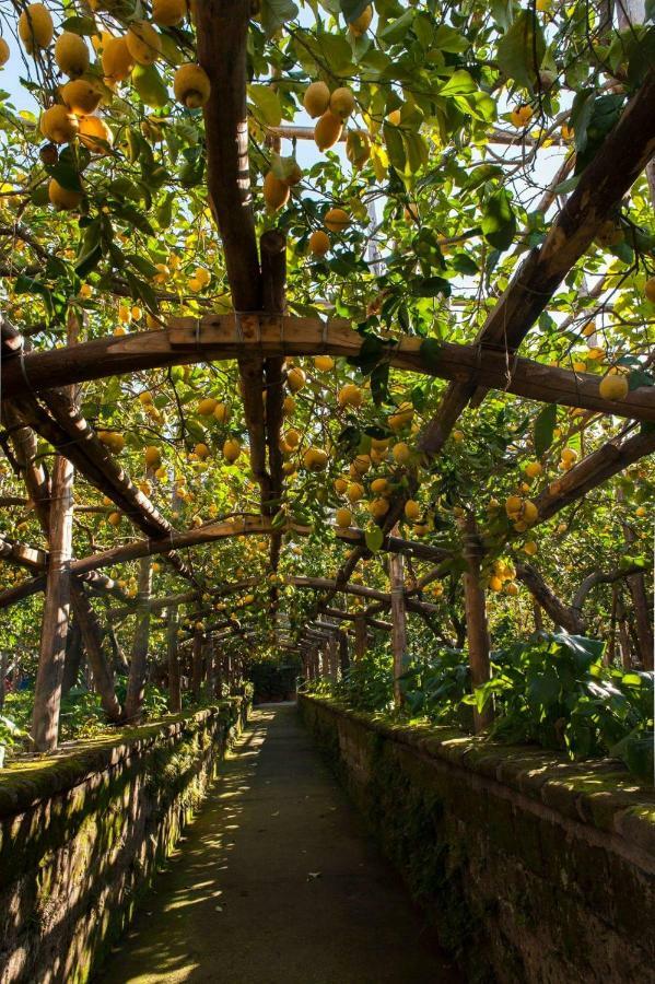 I Giardini Di Cataldo Sorrento Vila Exterior foto